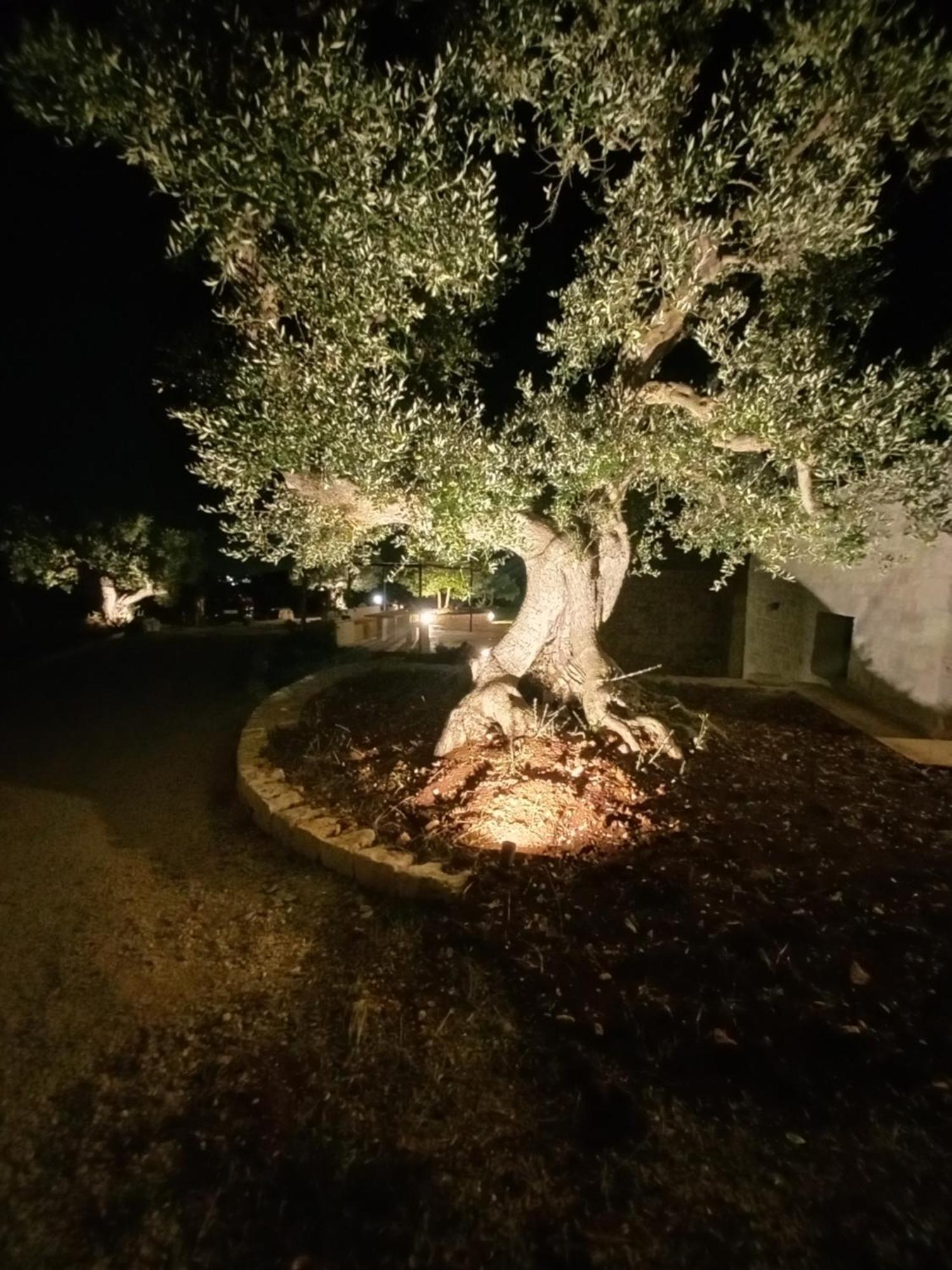 Il Nido Delle Rondini Vila Cisternino Exterior foto