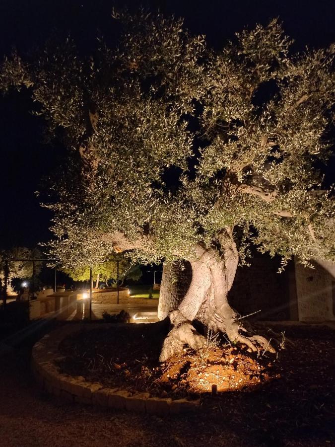 Il Nido Delle Rondini Vila Cisternino Exterior foto