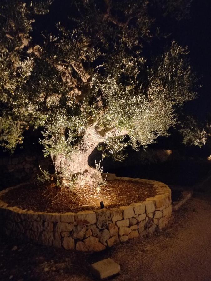 Il Nido Delle Rondini Vila Cisternino Exterior foto